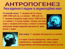 Головний мозок. У людини об’єм мозку 1400-1600 куб.см, а в мавпи – 600 куб.см...