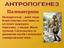 Палеоантропи Неандертальці – давні люди. Користувались кам’яним та кістяним з...