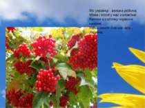 Ми українці - велика родина, Мова і пісня у нас солов'їна! Квітне в садочку ч...