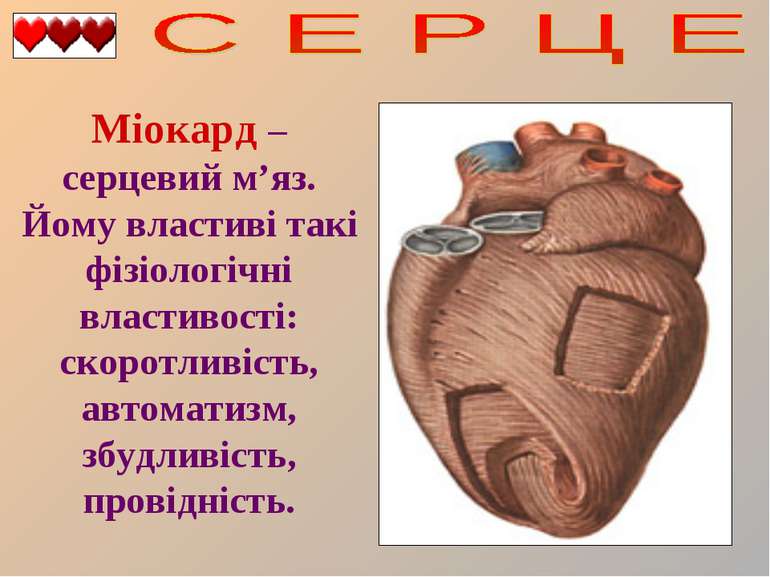 Міокард – серцевий м’яз. Йому властиві такі фізіологічні властивості: скоротл...