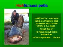 Найбільша риба Найбільшою річковою рибою в Україні є сом, довжина якого може ...