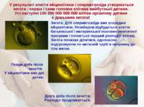 У результаті злиття яйцеклітини і сперматозоїда утворюється зигота - перша і ...