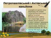 Петропавлівський і Актівський каньйони знаходяться в долині річки Мертвовод м...