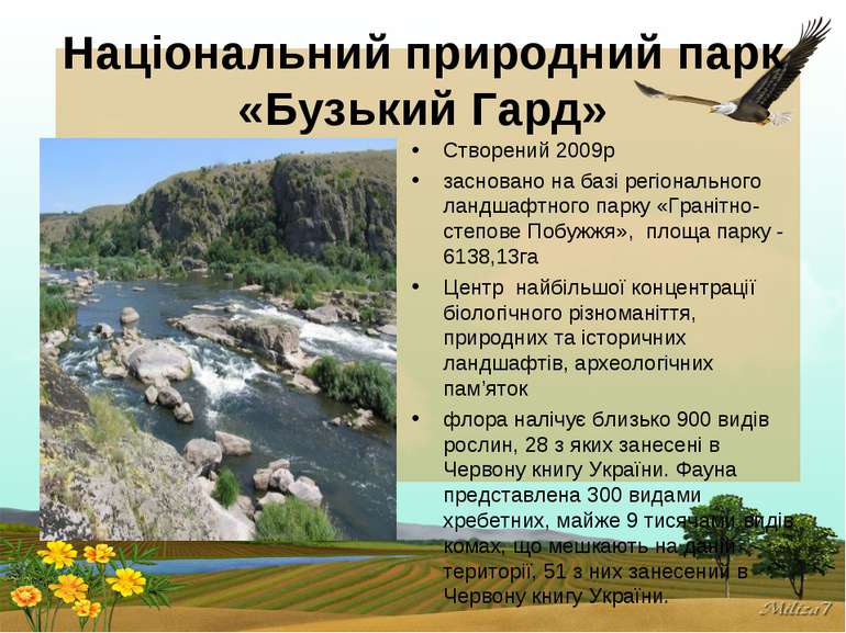 Національний природний парк «Бузький Гард» Створений 2009р засновано на базі ...