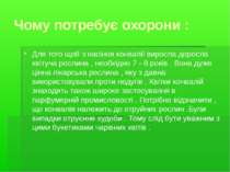 Чому потребує охорони : Для того щоб з насіння конвалії виросла доросла квіту...