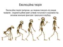 Еволюційна теорія Еволюційна теорія припускає, що людина походить від вищих п...