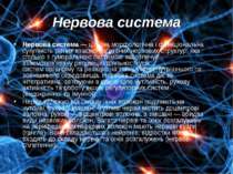 Нервова система Нервова система — цілісна морфологічна і функціональна сукупн...