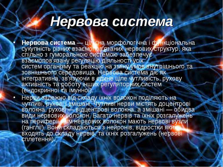 Нервова система Нервова система — цілісна морфологічна і функціональна сукупн...