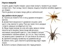 Укуси павуків Існують дуже отруйні павуки, укуси яких можуть привести до смер...