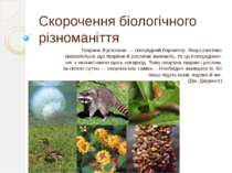 Скорочення біологічного різноманіття Тварини й рослини — своєрідний барометр....