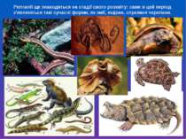 Рептилії ще знаходяться на стадії свого розквіту: саме в цей період з'являють...