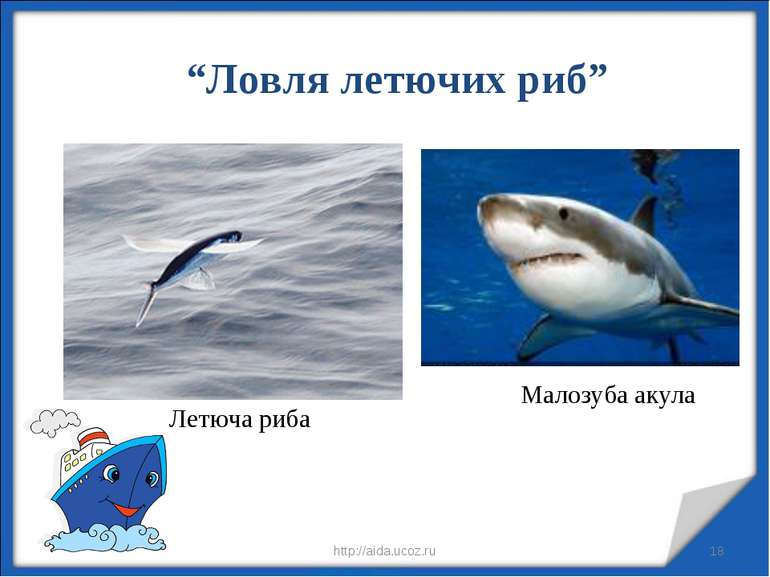 * * http://aida.ucoz.ru “Ловля летючих риб” Летюча риба Малозуба акула http:/...