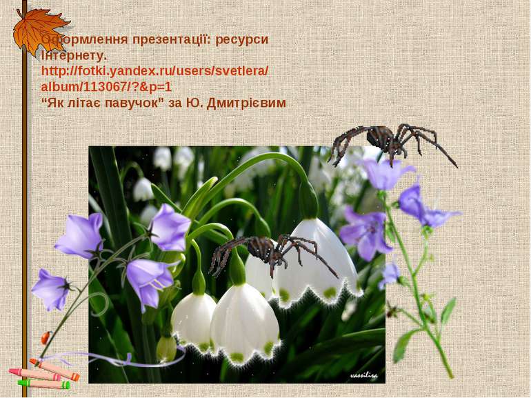 Оформлення презентації: ресурси Інтернету. http://fotki.yandex.ru/users/svetl...
