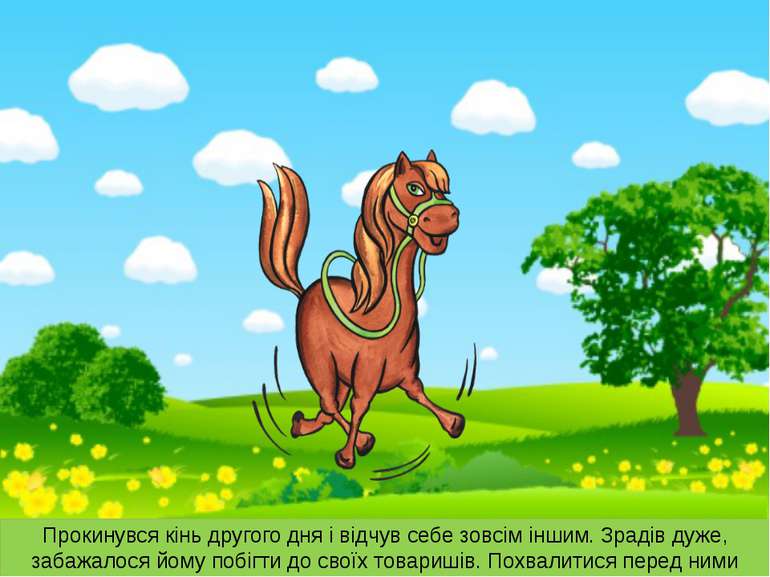 Прокинувся кінь другого дня і відчув себе зовсім іншим. Зрадів дуже, забажало...