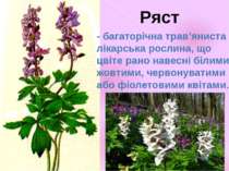 - багаторічна трав’яниста лікарська рослина, що цвіте рано навесні білими, жо...