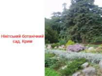 Нікітський ботанічний сад, Крим