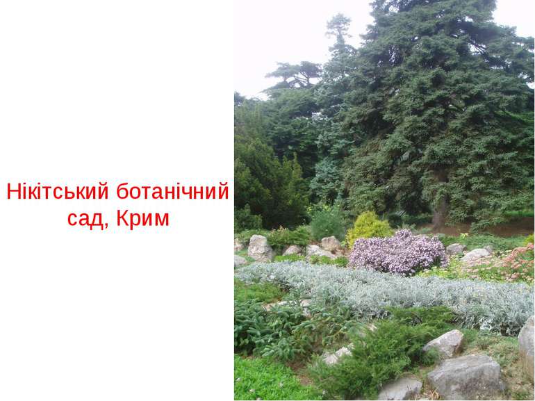 Нікітський ботанічний сад, Крим