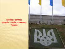 клумба у вигляді тризуба – герба та символу України