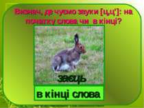 Визнач, де чуємо звуки [ц,ц']: на початку слова чи в кінці? в кінці слова заєць