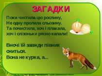 ЗАГАДКИ Поки чистила цю рослину, Не одну пролила сльозину. Та почистила, хоч ...