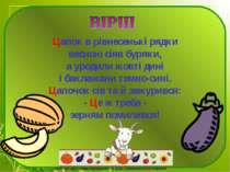 Цапок в рівнесенькі рядки весною сіяв буряки, а уродили жовті дині і баклажан...