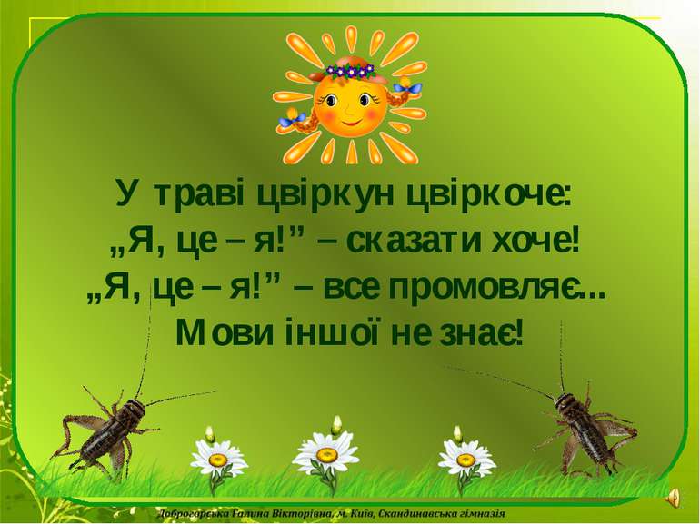 У траві цвіркун цвіркоче: „Я, це – я!” – сказати хоче! „Я, це – я!” – все про...