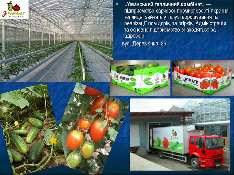 «Уманський тепличний комбінат» — підприємство харчової промисловості України,...