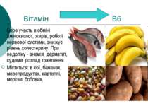 Вітамін В6 Бере участь в обміні амінокислот, жирів, роботі нервової системи, ...