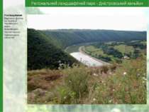 Регіональний ландшафтний парк - Дністровський каньйон Розташування: Відрізок ...