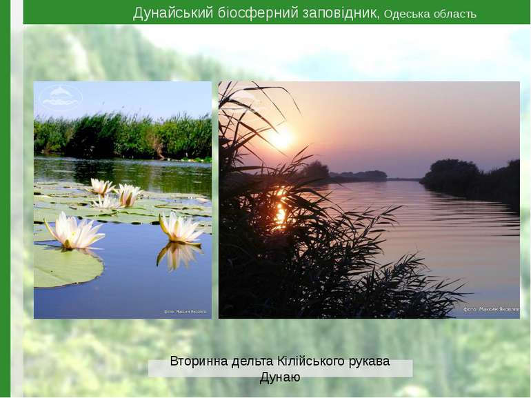 Дунайський біосферний заповідник, Одеська область Вторинна дельта Кілійського...