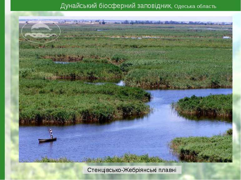Дунайський біосферний заповідник, Одеська область Стенцівсько-Жебріянські плавні