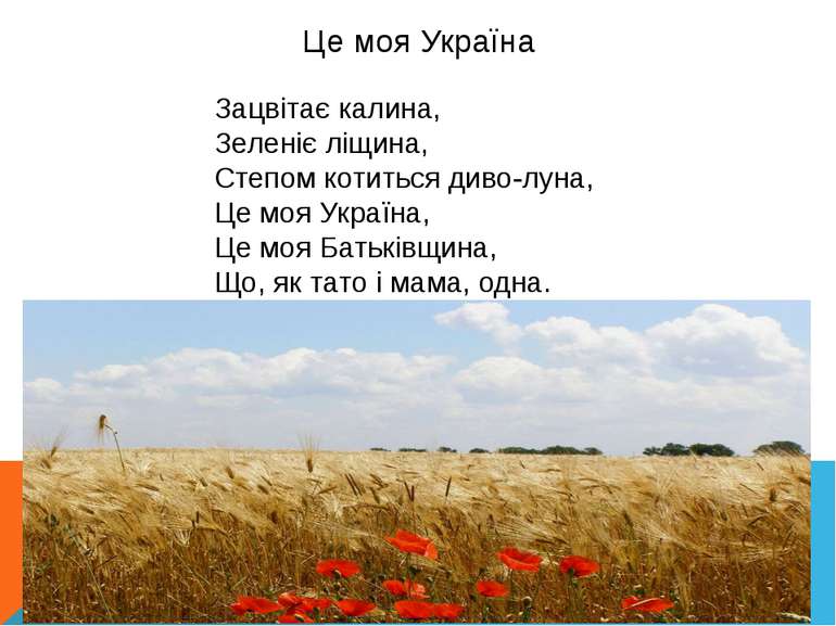 Це моя Україна Зацвітає калина,  Зеленіє ліщина,  Степом котиться диво-луна, ...