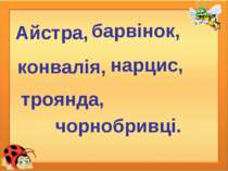 Айстра, барвінок, конвалія, нарцис, троянда, чорнобривці.