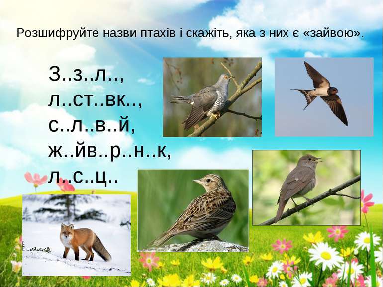 Птахи навесні - презентація з природознавства