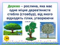Дерево – рослина, яка має одне міцне дерев'янисте стебло (стовбур), від якого...