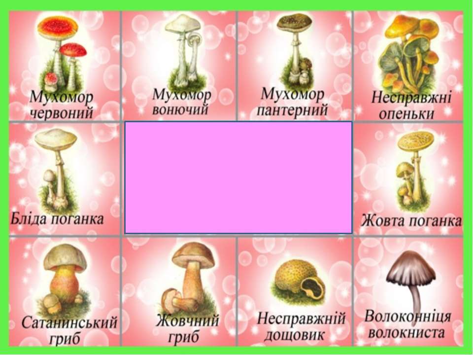 Карточки для игры съедобный несъедобный гриб. Несъедобные грибы карточки для детей. Съедобные и несъедобные грибы для дошкольников карточки. Съедобные грибы и ядовитые грибы. Схема летом в лесу приятно пахнет грибами