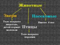 Животные Звери Птицы Насекомые Тело покрыто шерстью, детей кормят молоком Име...