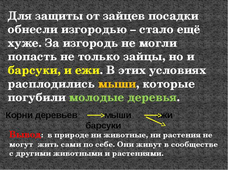 Для защиты от зайцев посадки обнесли изгородью – стало ещё хуже. За изгородь ...