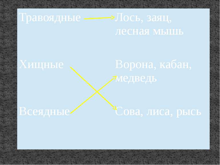 Травоядные Лось, заяц, лесная мышь Хищные Ворона, кабан, медведь Всеядные Сов...