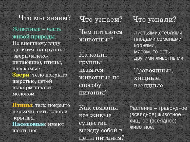 Животные – часть живой природы. По внешнему виду делятся на группы: звери (мл...