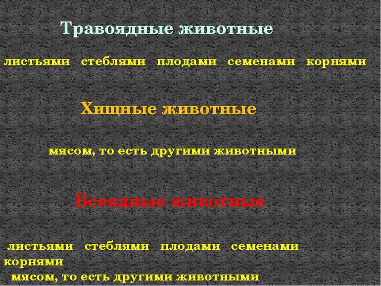 Травоядные животные листьями стеблями плодами семенами корнями Хищные животны...