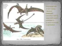 Птерозаври, або літаючі ящери, з'явились наприкінці тріасового періоду, однак...