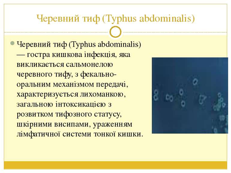 Черевний тиф (Typhus abdominalis) Черевний тиф (Typhus abdominalis) — гостра ...