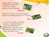 Навесні цвітуть, мов свічі, заглядають сонцю в вічі. А під осінь ті свічки вд...