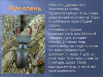 Житель дубових лісів Лісостепу та Криму. Довжина самця – 8 см, самка дещо мен...