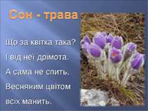 Що за квітка така? І від неї дрімота. А сама не спить, Весняним цвітом всіх м...