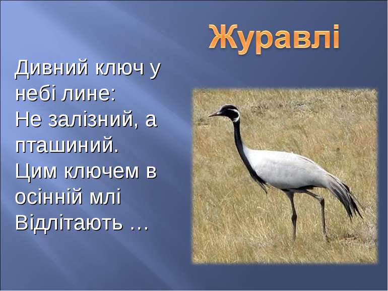 Дивний ключ у небі лине: Не залізний, а пташиний. Цим ключем в осінній млі Ві...