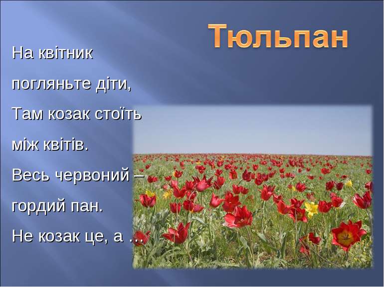 На квітник погляньте діти, Там козак стоїть між квітів. Весь червоний – горди...