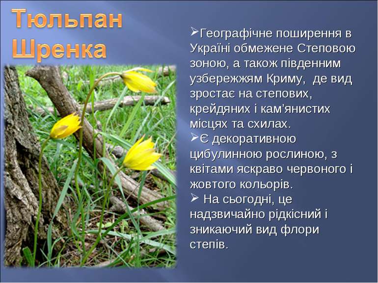 Географічне поширення в Україні обмежене Степовою зоною, а також південним уз...