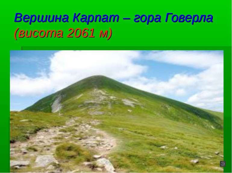 Вершина Карпат – гора Говерла (висота 2061 м)